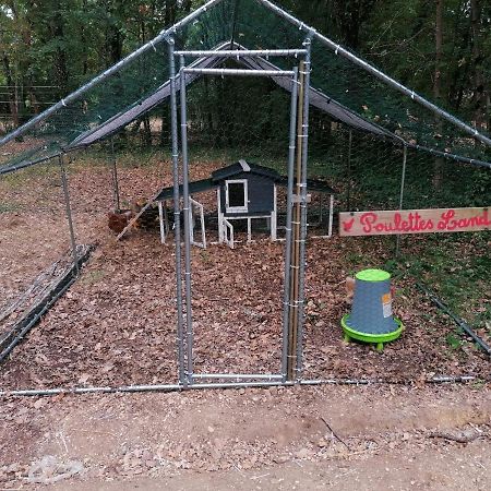 Emplacement Tente Camping Car Saint-Aubin-de-Nabirat エクステリア 写真
