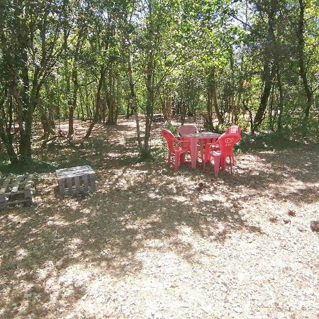 Emplacement Tente Camping Car Saint-Aubin-de-Nabirat エクステリア 写真