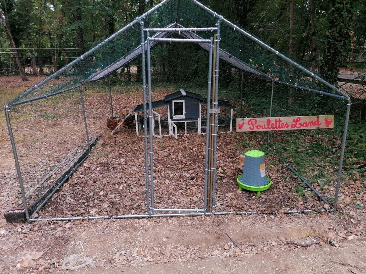 Emplacement Tente Camping Car Saint-Aubin-de-Nabirat エクステリア 写真