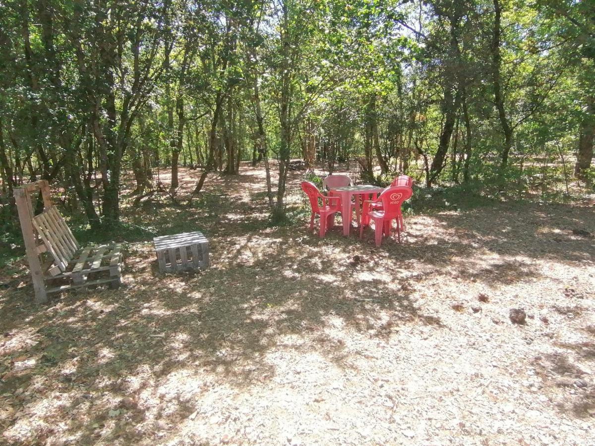 Emplacement Tente Camping Car Saint-Aubin-de-Nabirat エクステリア 写真